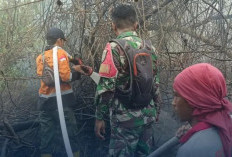 1 Hektare Lahan Mineral di Patra Tani Terbakar