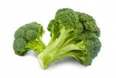 Manfaat Luar Biasa Brokoli, Mulai untuk Kesehatan Otak hingga Pendukung Diet