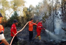 2 Firespot di Muara Enim Berhasil Dipadamkan, Hotspot Didominasi Panas Tambang Batu Bara