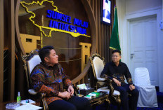 Gubernur Herman Deru Sambut Investor China, Jajaki Kerja Sama Pembangunan PLTA