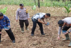 Anggota Polsek Lawang Kidul Tanam Jagung Serentak Kuartal I Tahun 2026
