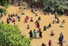 Hukum Tradisi Bekarang Adat Suku Lubai di Desa Jiwa Baru