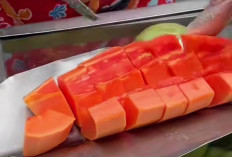 Manfaat Pepaya, Mulai Kurangi Risiko Kanker hingga Bantu Mengontrol Gula Darah