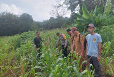 Sulap Lahan Tidur jadi Sumber Penghasilan