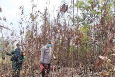Bhabinkamtibmas dan Babinsa Sisir Perbatasan Cegah Karhutla