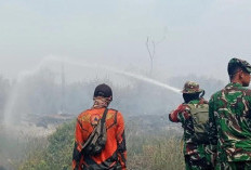 Tim Kemenhut Lakukan Pengecekan Lapangan, Mitigasi Karhutla di Hutan Rimbo Sekampung