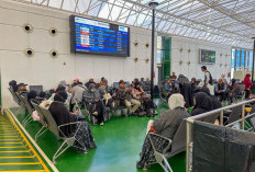 Situasi Timur Tengah Memanas, Kemenhaj RI Imbau Jemaah Tunda Keberangkatan Umrah