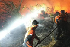 Akses Sulit dan Minim Air, 3 Hektare Lahan Terbakar di Desa Gunung Megang Dalam