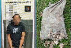 Pencuri Getah Karet di Muara Enim Nyaris Tewas Diamuk Massa