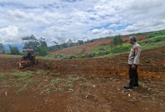 Garap Lahan Tidur, Wujudkan Swasembada Pangan