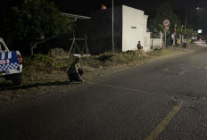 Mobil Box Tabrak Sepeda Motor di Muara Enim, 1 Korban Tewas dan 1 Luka-luka