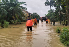 Diguyur Hujan Deras Semalaman, Puluhan Rumah di Muara Enim Terendam Banjir