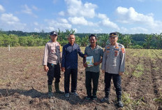 Dukung Swasembada Pangan Nasional, Tanam Jagung di Lahan Seluas 1 Hektare