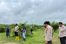Dukung Ketahanan Pangan, Polres Muara Enim Tinjau Lahan Jagung yang Bermasalah