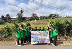 EcoGrow Mom PTBA, Wujud Nyata Pemberdayaan Perempuan Berbasis Urban Farming di Tanjung Karangan