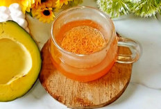 Rebusan Biji Alpukat Mampu Turunkan Kolesterol Jahat dan Gula Darah