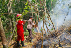 Personel Polsek Gelumbang dan Manggala Agni Padamkan Karhutla