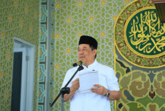 Wagub Sumsel Cik Ujang Serahkan Bantuan untuk Masjid