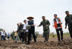 Perkuat Posisi Lumbung Pangan Nasional, Gubernur Herman Deru Pimpin Tanam Padi Serentak