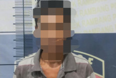 Curi TV, Pria Paruh Baya di Muara Enim Ini Ditangkap Polisi