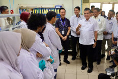 Menaker Siapkan Strategi agar Pemagangan Nasional 2026 Jangkau Semua Provinsi