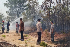 Karhutla Seluas 5 Hektare Dekati Permukiman, Petugas Berjibaku 9 Jam Lakukan Pemadaman