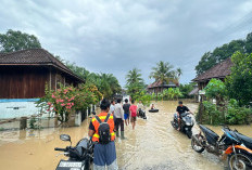 Curah Hujan Tinggi, Jalan Desa Gunung Megang Dalam Tergenang Air