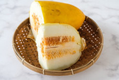 6 Khasiat Buah Timun Suri untuk Orang Berpuasa