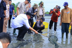 Kunjungi Tambak Udang Sungai Menang, Gubernur Herman Deru Dorong Petambak Tingkatkan Kualitas dan Daya Saing