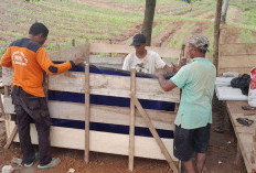 Polsek Lawang Kidul Pasang Kolam Terpal Dukung Ketahanan Pangan