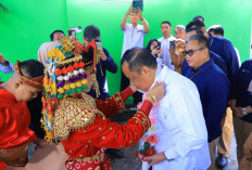 Wagub Sumsel Dorong Kepedulian dan Pembangunan Inklusif Bagi Anak Berkebutuhan Khusus