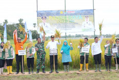 Bupati Edison Serahkan Bantuan Alsintan