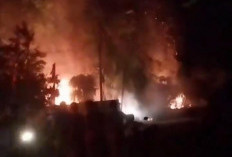 Karhutla di Gelumbang Picu Pemadaman Listrik, BPBD Muara Enim Pastikan Api Tidak Meluas