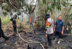 Cegah Karhutla Meluas, Polsek Sungai Rotan Bersama Brimob dan Damkar Padamkan Titik Api di Suka Merindu