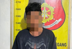 Pencuri Sawit di Muara Enim Ditangkap Usai Dijebak Tim Keamanan Perusahaan