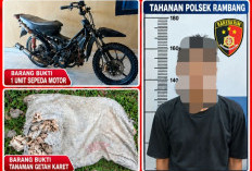 Curi 40 Kg Getah Karet, Residivis Diringkus Polisi
