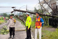 Truk Fuso Tabrak Tiang Listrik di Keban Agung, Sebabkan Pemadaman Berjam-jam