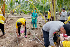 Dukung Ketahanan Pangan Lewat Penanaman Jagung di Pagar Dewa