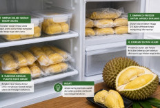 Tips Menyimpan Durian Agar Tetap Segar, Aroma dan Rasanya Tetap Nikmat Berhari-hari