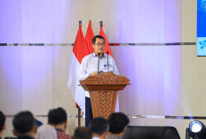 Pendaftaran Pelatihan Vokasi Nasional Batch 6 Ditutup, Tahap Seleksi akan Dimulai pada 15 Oktober