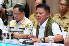 Pemprov Sumsel Bersama Polda dan Kejati Tangani Karhutla, 17 Tersangka Diproses Hukum